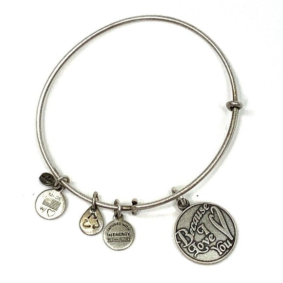Alex and Ani Because I Love You Charm Bracelet Silver Finish - 2"- 3.5" - Picture 1 of 2